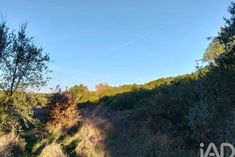 Terra a Santarem, Santarem, Santarem - € 70.000 | Ref: 774351 - foto 9