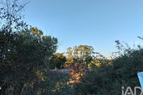 Terra a Santarem, Santarem, Santarem - € 70.000 | Ref: 774351 - foto 10