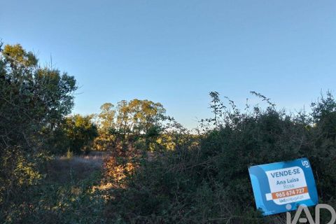 Terra a Santarem, Santarem, Santarem - € 70.000 | Ref: 774351 - foto 11