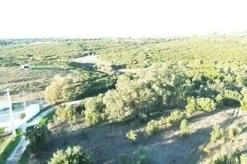 Terra a Santarem, Santarem, Santarem - € 70.000 | Ref: 774351 - foto 14