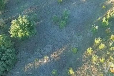 Terra a Santarem, Santarem, Santarem - € 70.000 | Ref: 774351 - foto 18