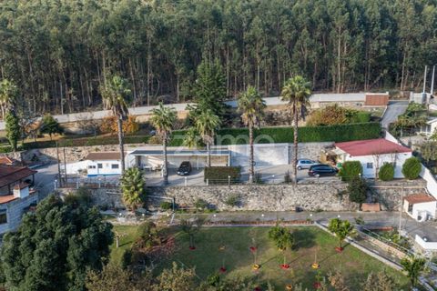 Villa i Vila Verde, Braga, Vila Verde - € 1.200.000 | Ref: ZMPT583386 - foto 13
