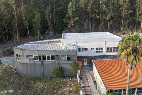 Villa i Vila Verde, Braga, Vila Verde - € 1.200.000 | Ref: ZMPT583386 - foto 14