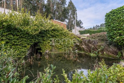 Villa i Vila Verde, Braga, Vila Verde - € 1.200.000 | Ref: ZMPT583386 - foto 45