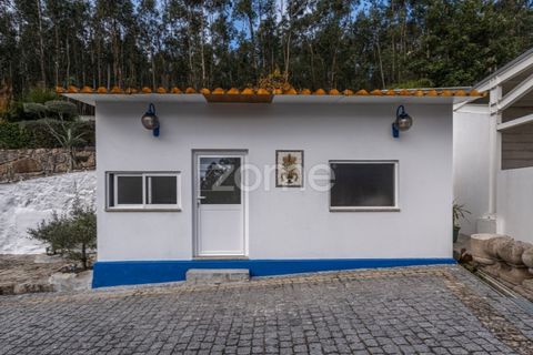 Villa i Vila Verde, Braga, Vila Verde - € 1.200.000 | Ref: ZMPT583386 - foto 49