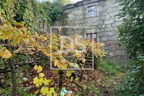 Farm hus i Resende, Viseu, Resende - € 150.000 | Ref: DSPMCANAVSMM65 - foto 4