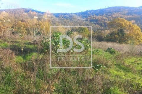 Farm hus i Resende, Viseu, Resende - € 150.000 | Ref: DSPMCANAVSMM65 - foto 6