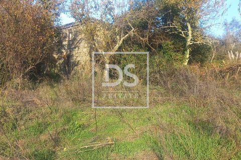 Farm hus i Resende, Viseu, Resende - € 150.000 | Ref: DSPMCANAVSMM65 - foto 10