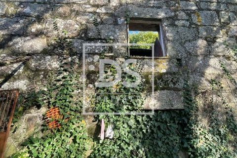 Farm hus i Resende, Viseu, Resende - € 150.000 | Ref: DSPMCANAVSMM65 - foto 11