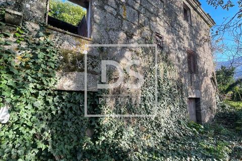Farm hus i Resende, Viseu, Resende - € 150.000 | Ref: DSPMCANAVSMM65 - foto 13