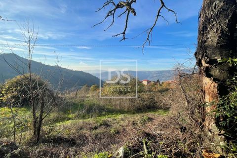 Farm hus i Resende, Viseu, Resende - € 150.000 | Ref: DSPMCANAVSMM65 - foto 14