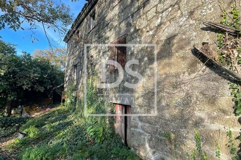 Farm hus i Resende, Viseu, Resende - € 150.000 | Ref: DSPMCANAVSMM65 - foto 15