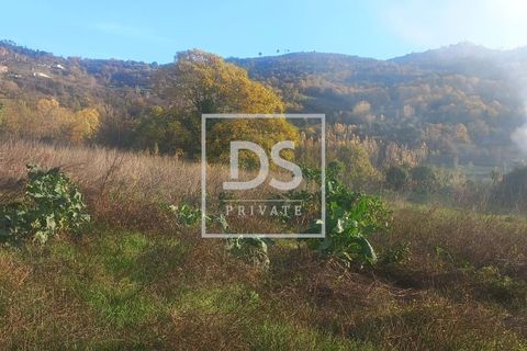 Farm hus i Resende, Viseu, Resende - € 150.000 | Ref: DSPMCANAVSMM65 - foto 16