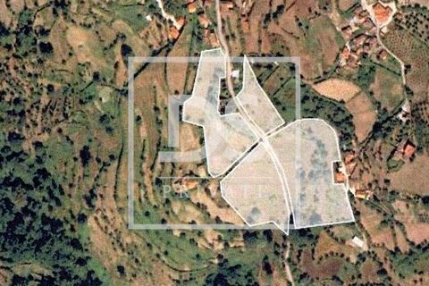 Farm hus i Resende, Viseu, Resende - € 150.000 | Ref: DSPMCANAVSMM65 - foto 17