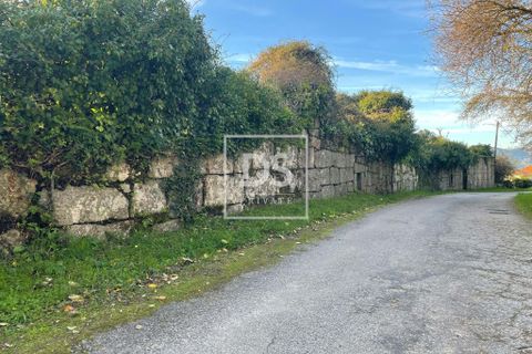 Farm hus i Resende, Viseu, Resende - € 150.000 | Ref: DSPMCANAVSMM65 - foto 18