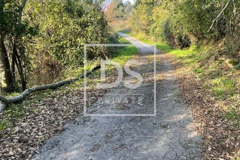 Farm hus i Resende, Viseu, Resende - € 150.000 | Ref: DSPMCANAVSMM65 - foto 19
