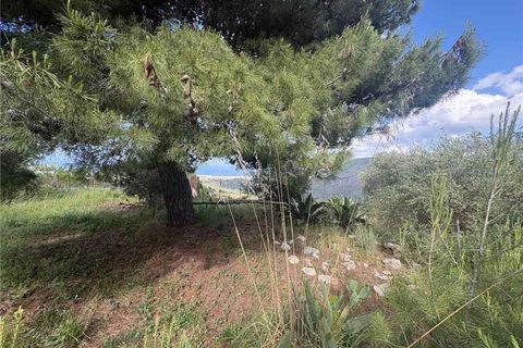 Landejendom i Casteldaccia, Palermo, Casteldaccia - € 60.000 | Ref: CA579 - foto 3