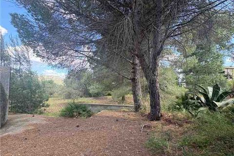 Landejendom i Casteldaccia, Palermo, Casteldaccia - € 60.000 | Ref: CA579 - foto 4