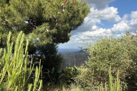Landejendom i Casteldaccia, Palermo, Casteldaccia - € 60.000 | Ref: CA579 - foto 5