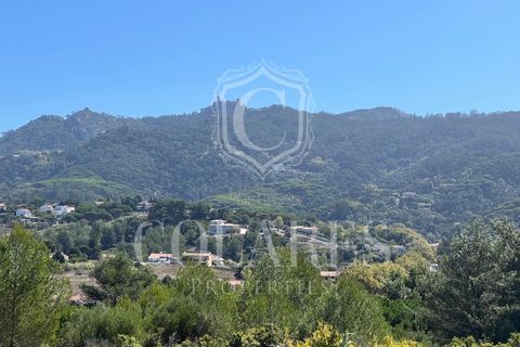 Helårsgrund i Sintra, Lisbon, Sintra - € 1.000.000 | Ref: 202509118 - foto 4
