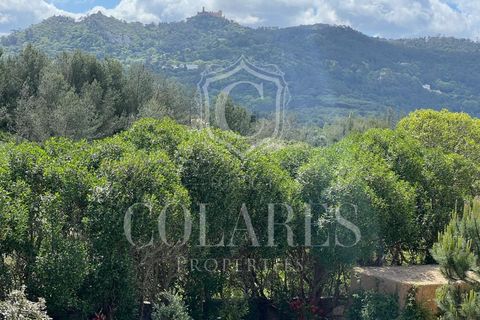 Helårsgrund i Sintra, Lisbon, Sintra - € 1.000.000 | Ref: 202509118 - foto 5
