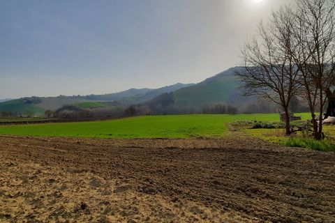 Villa i Ripatransone, Ascoli Piceno, Ripatransone - € 630.000 | Ref: 6259 - foto 4