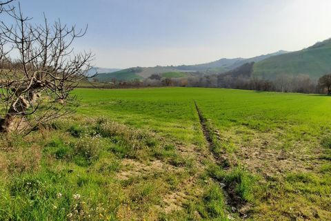 Villa i Ripatransone, Ascoli Piceno, Ripatransone - € 630.000 | Ref: 6259 - foto 6