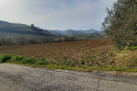 Villa i Ripatransone, Ascoli Piceno, Ripatransone - € 630.000 | Ref: 6259 - foto 12