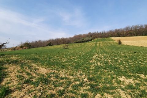 Villa i Ripatransone, Ascoli Piceno, Ripatransone - € 630.000 | Ref: 6259 - foto 27