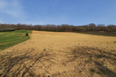 Villa i Ripatransone, Ascoli Piceno, Ripatransone - € 630.000 | Ref: 6259 - foto 28