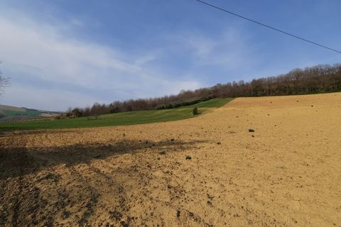 Villa i Ripatransone, Ascoli Piceno, Ripatransone - € 630.000 | Ref: 6259 - foto 29