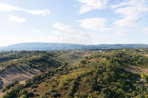 Helårsgrund i Olaia e Paco, Santarem, Olaia e Paco - € 35.000 | Ref: 121701120-235 - foto 2
