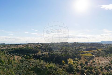 Helårsgrund i Olaia e Paco, Santarem, Olaia e Paco - € 35.000 | Ref: 121701120-235 - foto 3