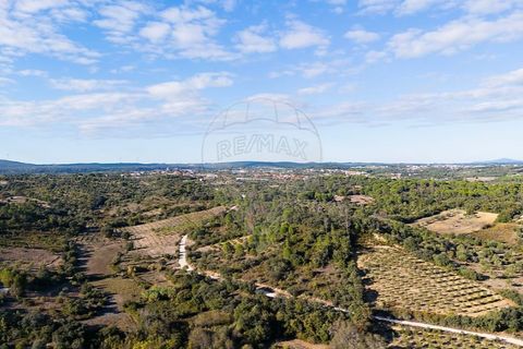Helårsgrund i Olaia e Paco, Santarem, Olaia e Paco - € 35.000 | Ref: 121701120-235 - foto 4