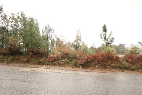 Helårsgrund i Lousada, Porto, Lousada - € 65.000 | Ref: TER_163 - foto 3