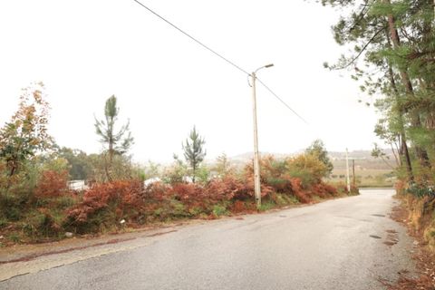 Helårsgrund i Lousada, Porto, Lousada - € 65.000 | Ref: TER_163 - foto 4