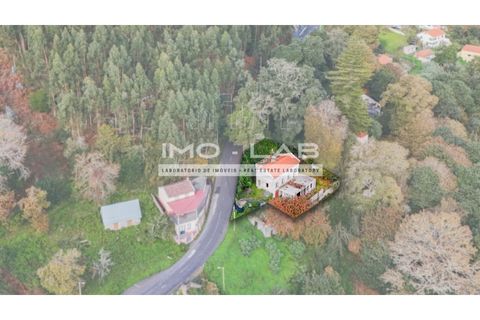 Villa a Camacha, Madeira, Camacha - € 260.000 | Ref: CAS_344 - foto 3