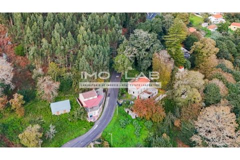 Villa a Camacha, Madeira, Camacha - € 260.000 | Ref: CAS_344 - foto 4