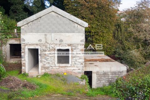 Villa a Camacha, Madeira, Camacha - € 260.000 | Ref: CAS_344 - foto 5