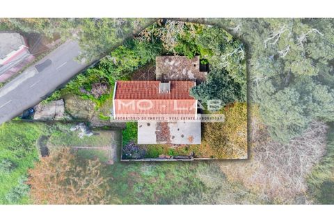 Villa a Camacha, Madeira, Camacha - € 260.000 | Ref: CAS_344 - foto 6