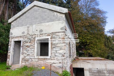 Villa a Camacha, Madeira, Camacha - € 260.000 | Ref: CAS_344 - foto 7