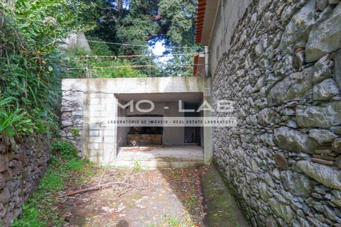 Villa a Camacha, Madeira, Camacha - € 260.000 | Ref: CAS_344 - foto 13