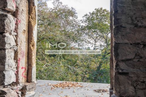 Villa a Camacha, Madeira, Camacha - € 260.000 | Ref: CAS_344 - foto 16