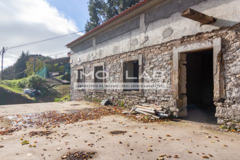 Villa a Camacha, Madeira, Camacha - € 260.000 | Ref: CAS_344 - foto 18