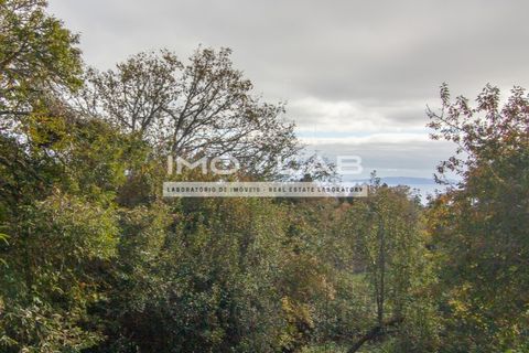 Villa a Camacha, Madeira, Camacha - € 260.000 | Ref: CAS_344 - foto 19