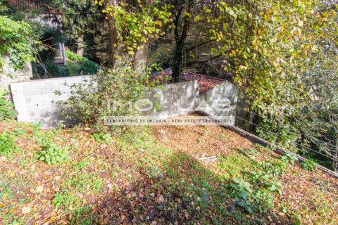 Villa a Camacha, Madeira, Camacha - € 260.000 | Ref: CAS_344 - foto 20