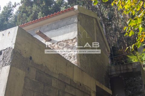 Villa a Camacha, Madeira, Camacha - € 260.000 | Ref: CAS_344 - foto 25