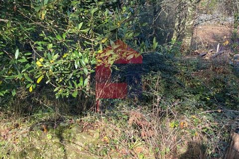 Helårsgrund i Vila Verde, Braga, Vila Verde - € 36.500 | Ref: 08753 - foto 17