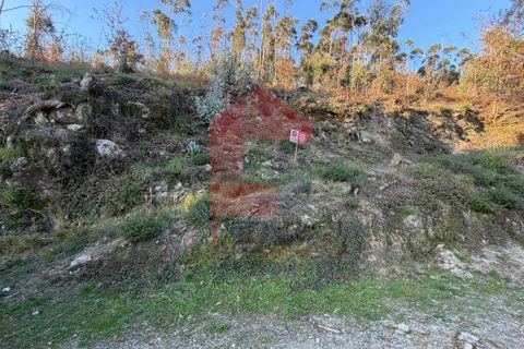 Helårsgrund i Vila Verde, Braga, Vila Verde - € 16.500 | Ref: 08754 - foto 1