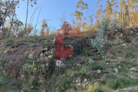 Helårsgrund i Vila Verde, Braga, Vila Verde - € 16.500 | Ref: 08754 - foto 2